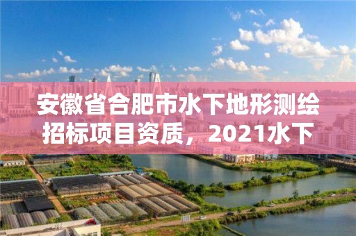 安徽省合肥市水下地形测绘招标项目资质，2021水下地形测量招标