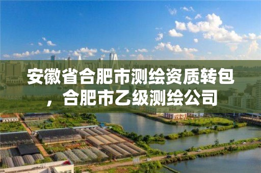 安徽省合肥市测绘资质转包，合肥市乙级测绘公司