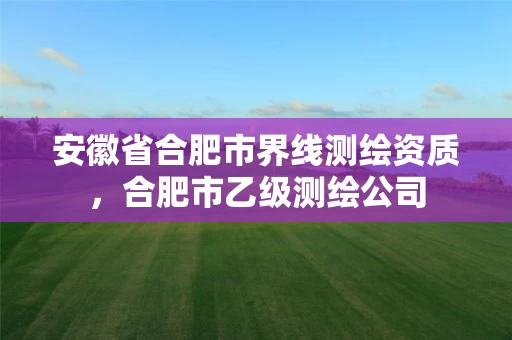 安徽省合肥市界线测绘资质,合肥市乙级测绘公司 安徽省合肥市界线测绘资质,合肥市乙级测绘公司
