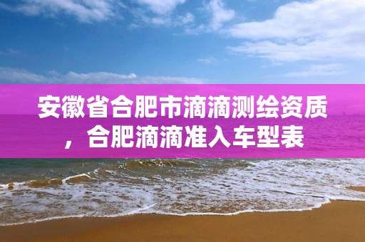 安徽省合肥市滴滴测绘资质，合肥滴滴准入车型表