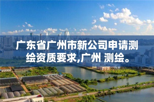 广东省广州市新公司申请测绘资质要求,广州 测绘。