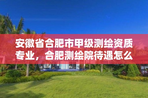 安徽省合肥市甲级测绘资质专业，合肥测绘院待遇怎么样