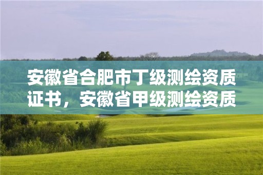 安徽省合肥市丁级测绘资质证书，安徽省甲级测绘资质单位