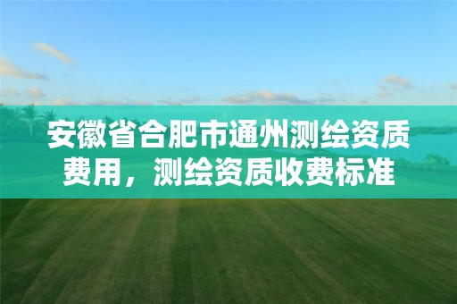 安徽省合肥市通州测绘资质费用，测绘资质收费标准