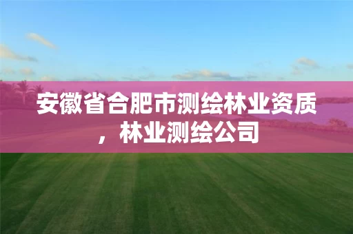 安徽省合肥市测绘林业资质,林业测绘公司 安徽省合肥市测绘林业资质,林业测绘公司