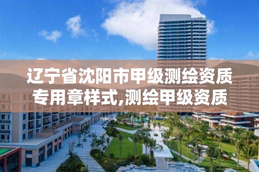 辽宁省沈阳市甲级测绘资质专用章样式,测绘甲级资质查询。