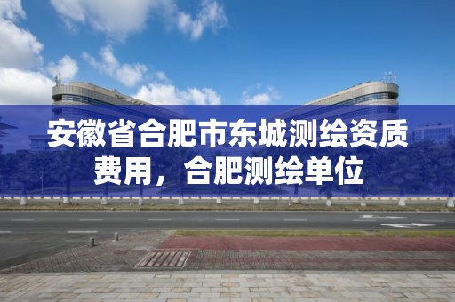 安徽省合肥市东城测绘资质费用，合肥测绘单位