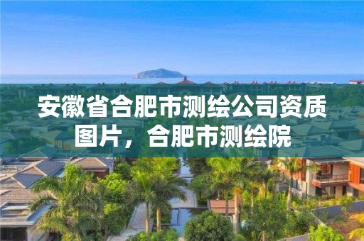 安徽省合肥市测绘公司资质图片，合肥市测绘院