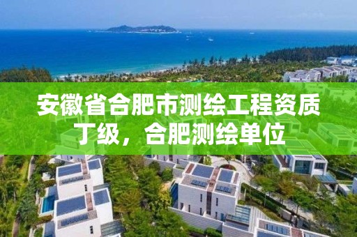 安徽省合肥市测绘工程资质丁级，合肥测绘单位