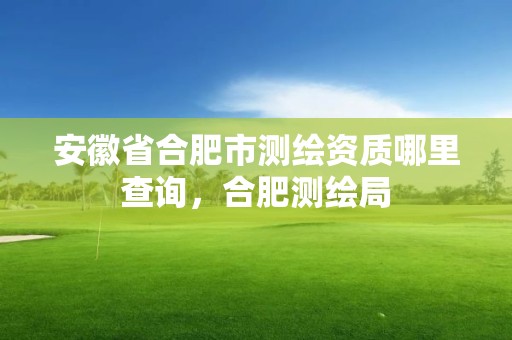 安徽省合肥市测绘资质哪里查询，合肥测绘局