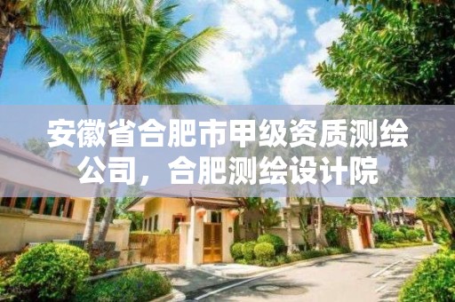 安徽省合肥市甲级资质测绘公司，合肥测绘设计院