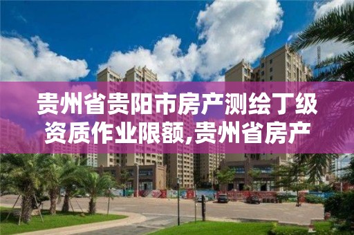 贵州省贵阳市房产测绘丁级资质作业限额,贵州省房产测绘管理实施细则。