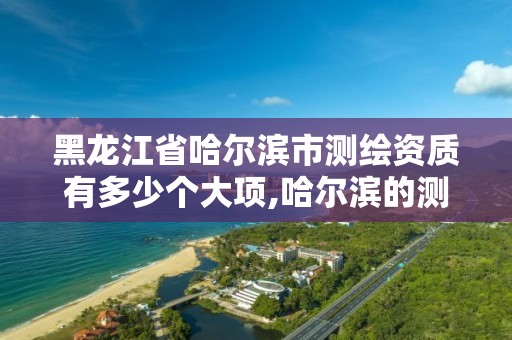 黑龙江省哈尔滨市测绘资质有多少个大项,哈尔滨的测绘公司有哪些。