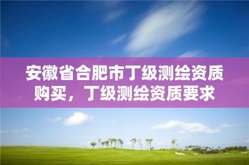 安徽省合肥市丁级测绘资质购买，丁级测绘资质要求