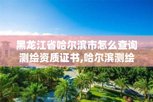 黑龙江省哈尔滨市怎么查询测绘资质证书,哈尔滨测绘局在哪。