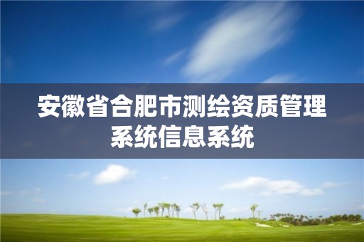 安徽省合肥市测绘资质管理系统信息系统