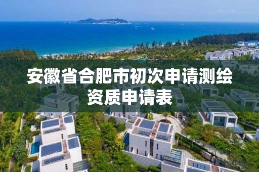 安徽省合肥市初次申请测绘资质申请表