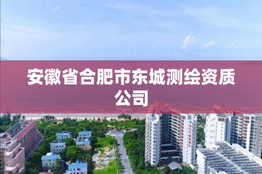 安徽省合肥市东城测绘资质公司