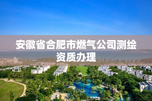 安徽省合肥市燃气公司测绘资质办理