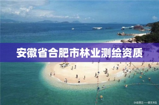 安徽省合肥市林业测绘资质