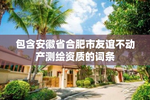 包含安徽省合肥市友谊不动产测绘资质的词条