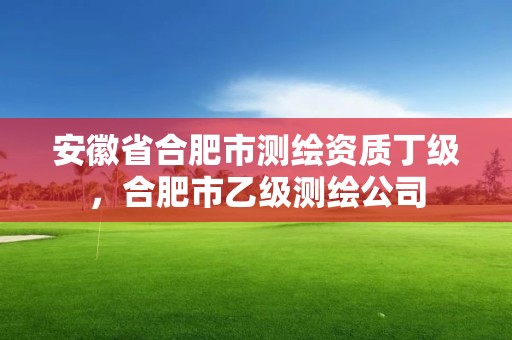 安徽省合肥市测绘资质丁级，合肥市乙级测绘公司