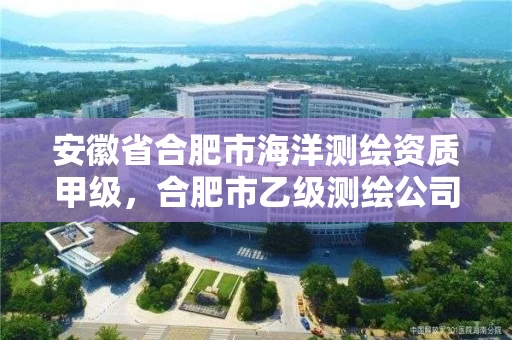 安徽省合肥市海洋测绘资质甲级,合肥市乙级测绘公司 安徽省合肥市海洋测绘资质甲级,合肥市乙级测绘公司