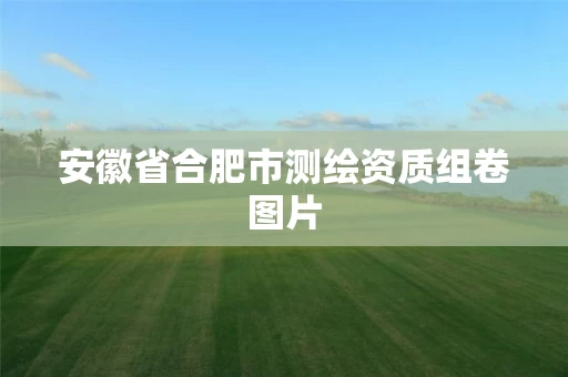 安徽省合肥市测绘资质组卷图片 安徽省合肥市测绘资质组卷图片