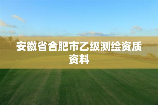 安徽省合肥市乙级测绘资质资料