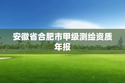 安徽省合肥市甲级测绘资质年报