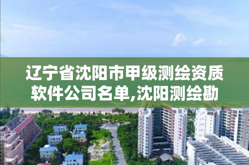 辽宁省沈阳市甲级测绘资质软件公司名单,沈阳测绘勘察研究院有限公司。