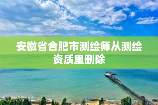 安徽省合肥市测绘师从测绘资质里删除