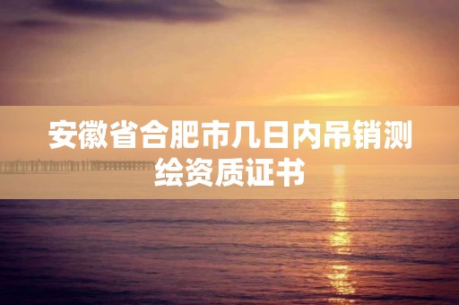 安徽省合肥市几日内吊销测绘资质证书