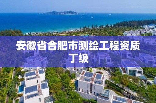 安徽省合肥市测绘工程资质丁级