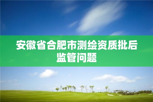 安徽省合肥市测绘资质批后监管问题