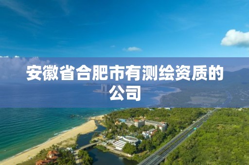 安徽省合肥市有测绘资质的公司