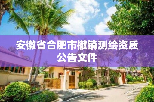 安徽省合肥市撤销测绘资质公告文件