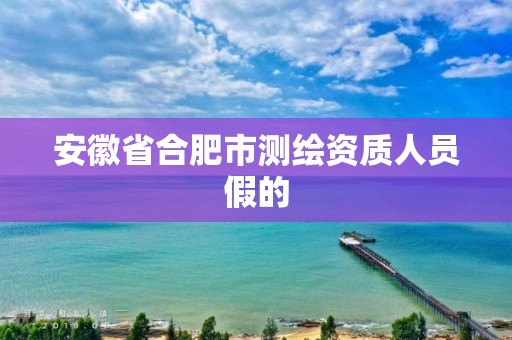 安徽省合肥市测绘资质人员假的