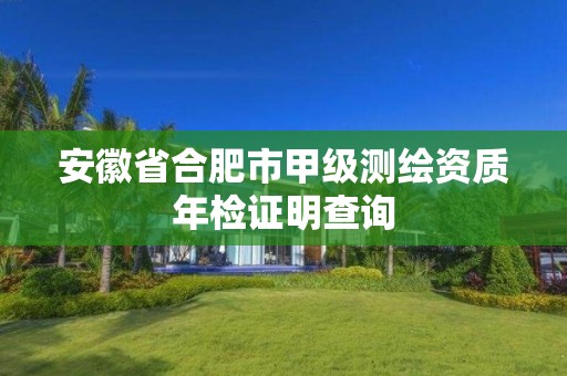 安徽省合肥市甲级测绘资质年检证明查询