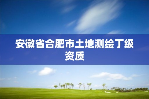 安徽省合肥市土地测绘丁级资质