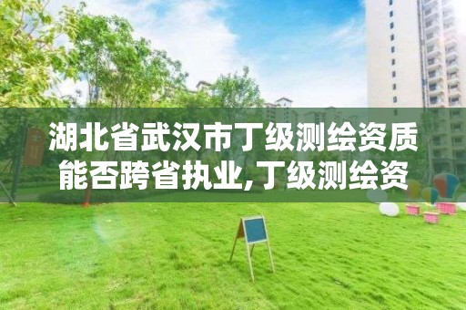 湖北省武汉市丁级测绘资质能否跨省执业,丁级测绘资质经营范围。