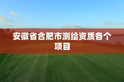 安徽省合肥市测绘资质各个项目 安徽省合肥市测绘资质各个项目