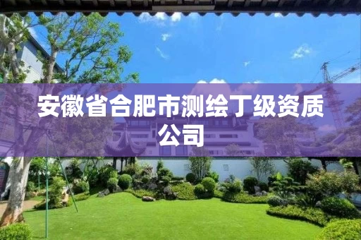 安徽省合肥市测绘丁级资质公司 安徽省合肥市测绘丁级资质公司