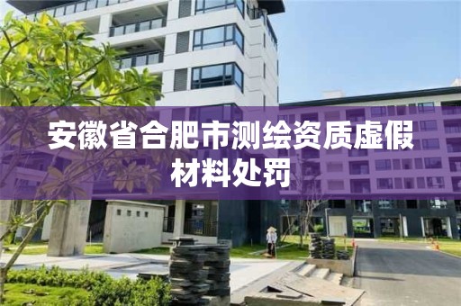 安徽省合肥市测绘资质虚假材料处罚