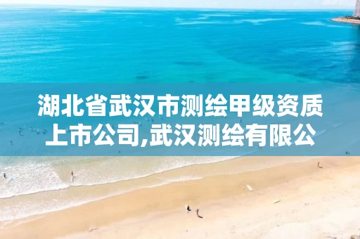 湖北省武汉市测绘甲级资质上市公司,武汉测绘有限公司。 湖北省武汉市测绘甲级资质上市公司,武汉测绘有限公司。