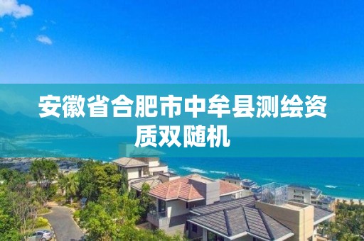 安徽省合肥市中牟县测绘资质双随机