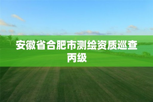 安徽省合肥市测绘资质巡查丙级