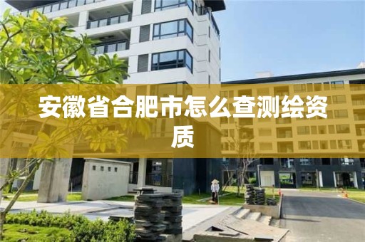 安徽省合肥市怎么查测绘资质