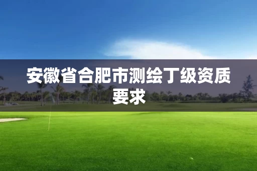 安徽省合肥市测绘丁级资质要求 安徽省合肥市测绘丁级资质要求