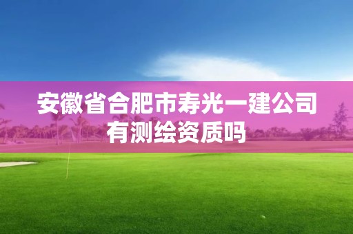 安徽省合肥市寿光一建公司有测绘资质吗